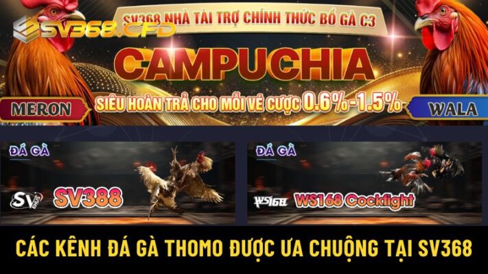 Tổng hợp các kênh đá gà Thomo được ưa chuộng tại SV368