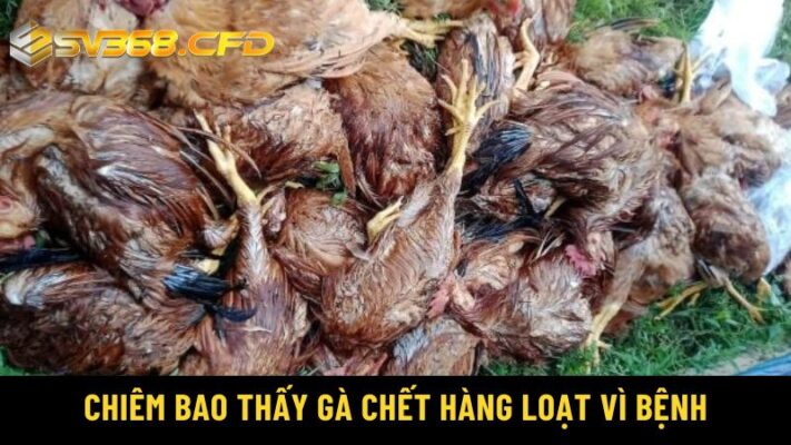 Chiêm bao thấy gà chết hàng loạt vì bệnh