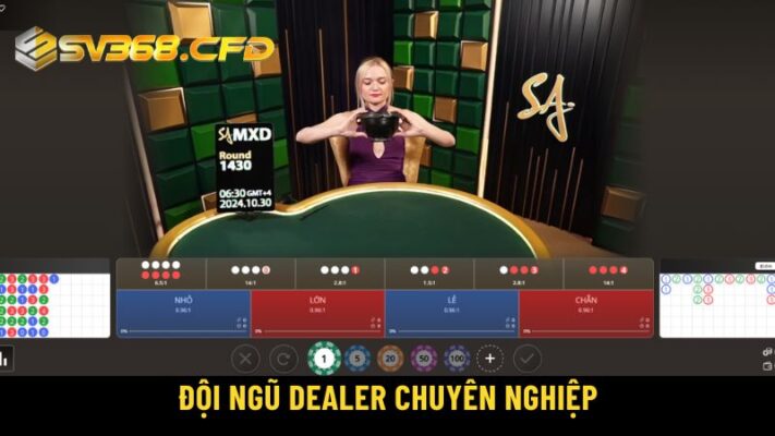 Đội ngũ Dealer chuyên nghiệp