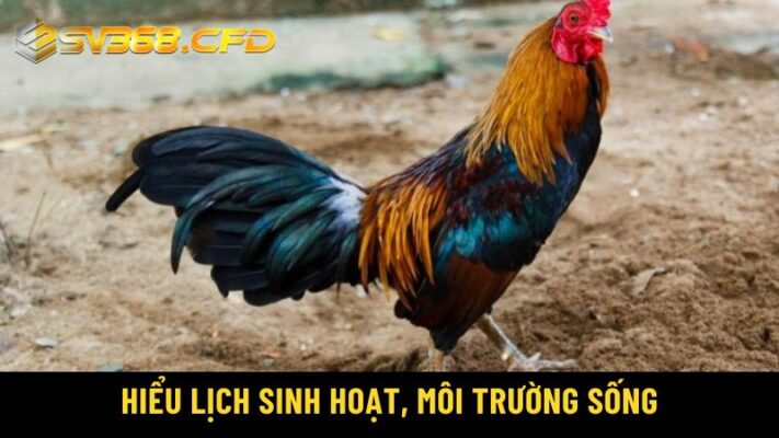 Hiểu lịch sinh hoạt, môi trường sống