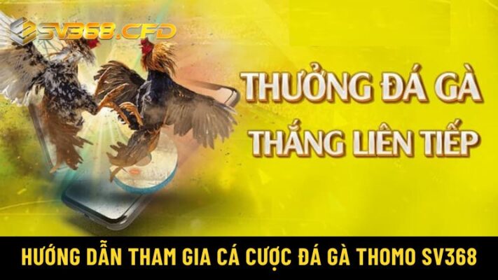 Hướng dẫn tham gia cá cược đá gà Thomo SV368