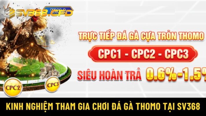 Kinh nghiệm tham gia chơi đá gà Thomo tại SV368