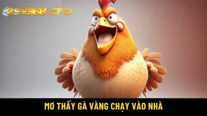 Mơ thấy gà vàng chạy vào nhà