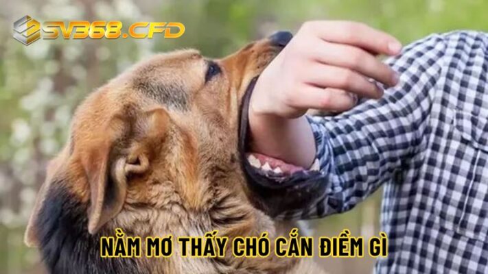 Giải mã giấc mơ thấy chó sủa liên hồi dữ hay lành, nên đánh con gì