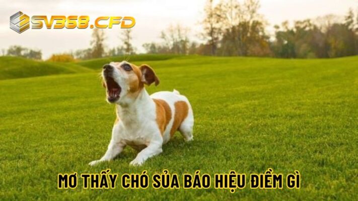 Nằm mơ thấy chó đánh số mấy - mơ thấy chó báo hiệu điều gì