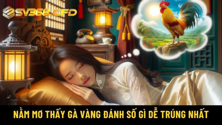 Nằm mơ thấy gà vàng đánh số gì dễ trúng nhất