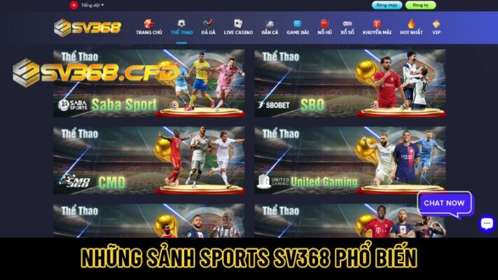 Những sảnh Sports SV368 phổ biến