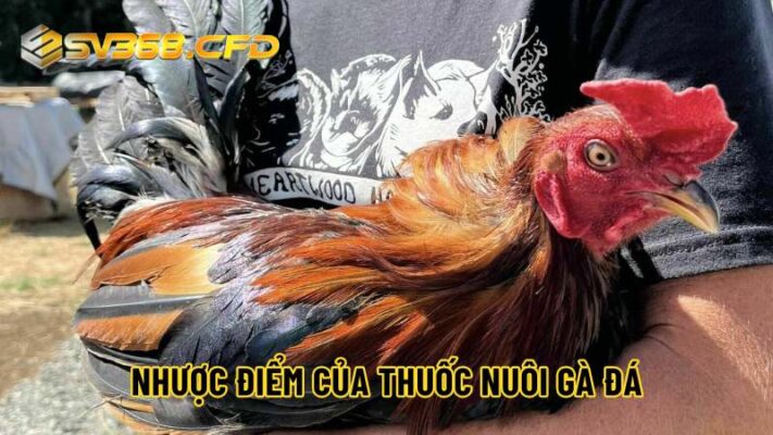 Thuốc cho gà đá cũng có một số nhược điểm cần chú ý