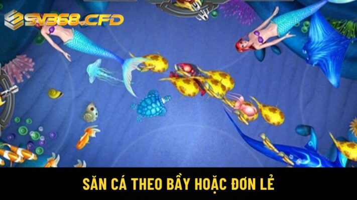 Săn cá theo bầy hoặc đơn lẻ