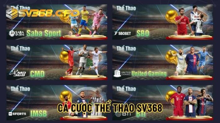 Sảnh thể thao SV368 hoà mình vào các trận cầu đỉnh cao